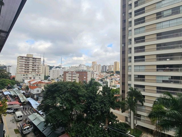 Gorgeous São Paulo