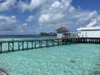 モルディブ新婚旅行♡