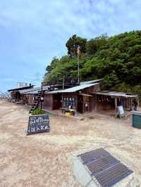 系島手工花鹽布丁，不畏路途遙，怕遠就吃不到了！