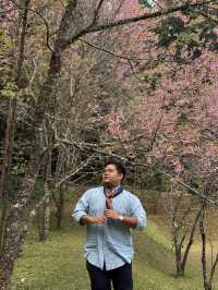 Spiritual Escape in the Northern Breeze