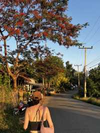 Weekend itinerary for visiting Pai, Thailand 🇹🇭