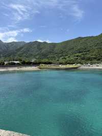 【屋久島】パワーを頂く旅