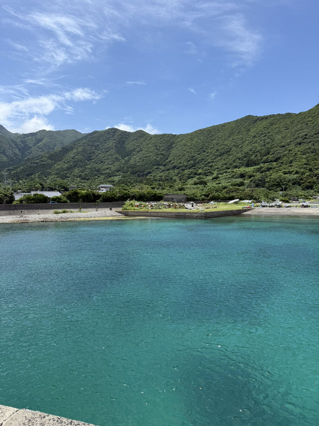 【屋久島】パワーを頂く旅