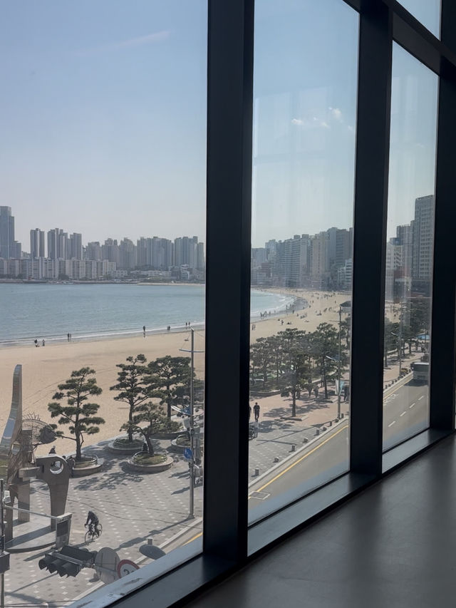 잔잔한 힐링 한 잔, 광안리 TTT 찻집 방문기🍵
