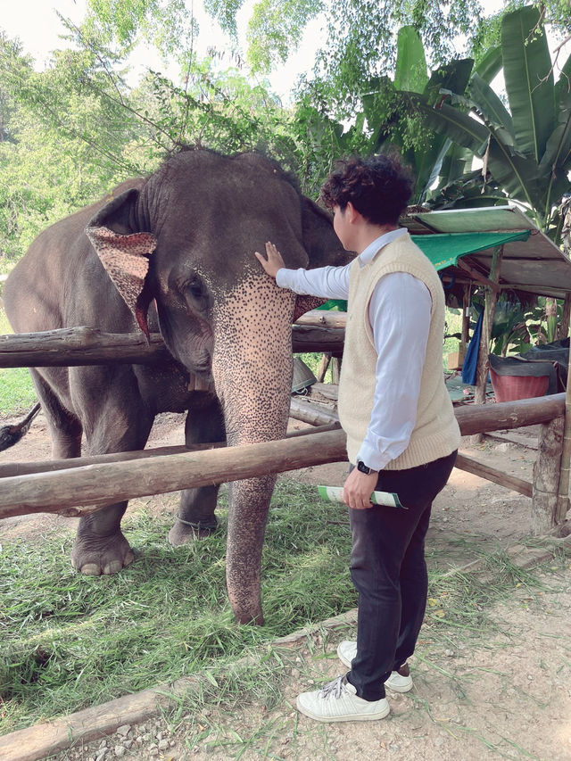 แอ่วลำปาง! กับ 3 สุดยอดประสบการณ์ที่คุณไม่ควรพลาด
