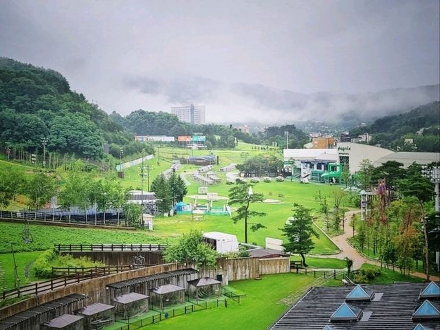 포레스트뷰 블루동 전객실 리뉴얼 [휘닉스평창]