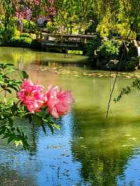 Dr. Sun Yat-Sen Classical Chinese Garden – A Tranquil Oasis in Vancouver’s Chinatown