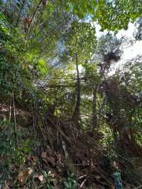 Where Two Bridges Meet the Sky: Hiking Bukit Jambul