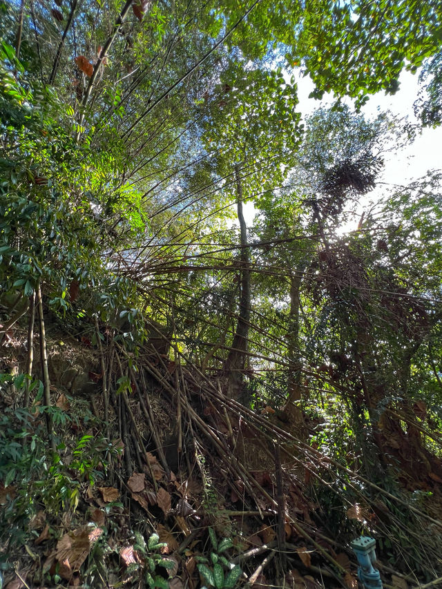 Where Two Bridges Meet the Sky: Hiking Bukit Jambul