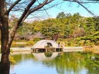 [🇯🇵広島] 縮景園の四季折々の美しさと静寂を感じる庭園散策