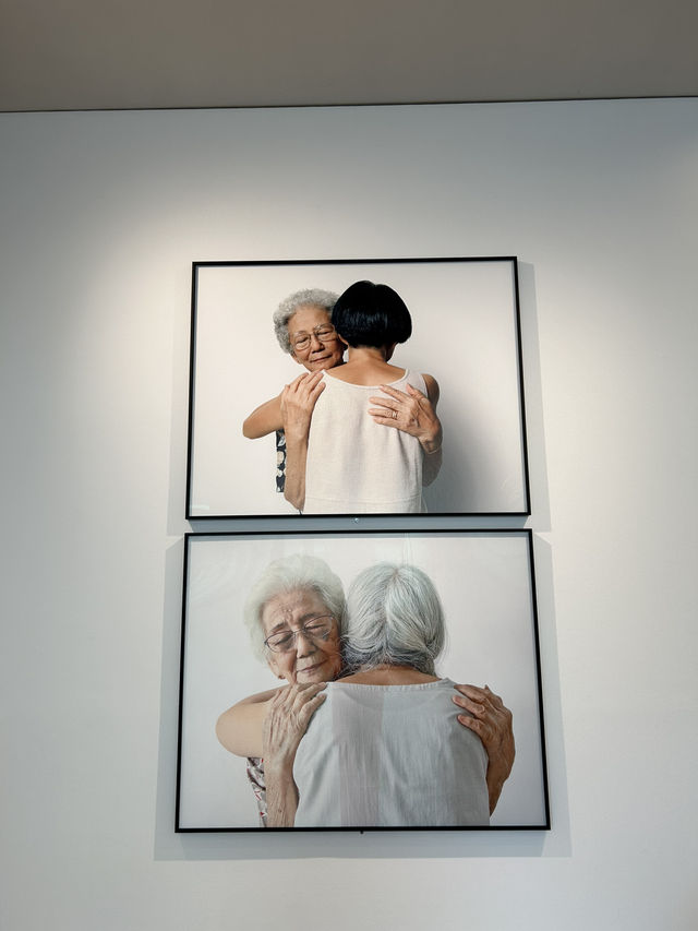 【直島】泊まれる美術館で現代アートと一体化「ベネッセハウスミュージアム」