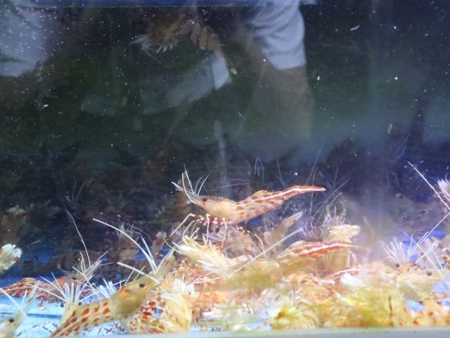 울릉도여행 브이로그