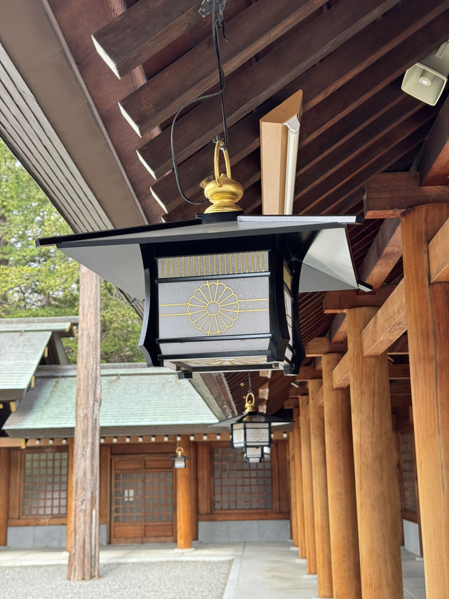 北海道神宮 櫻花季🌸