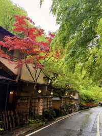 京都｜到貴船神社抽水籤 春有綠意秋楓紅 感受京都絕美詩意