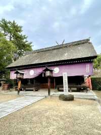A Day Around Sumiyoshi Taisha⛩ in Osaka
