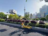 Top 3 Scenic Spots in Shanghai - Pedal or Walk through the charm of Shanghai . 