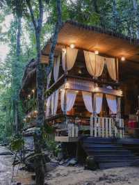 บ้านธารชีวี บ้านเล็กในป่าใหญ่