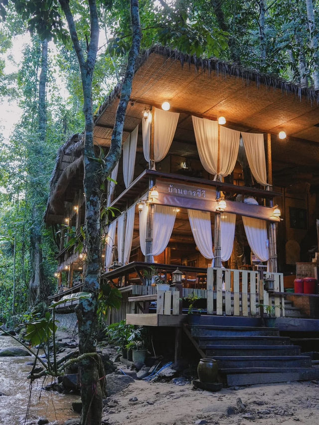 บ้านธารชีวี บ้านเล็กในป่าใหญ่