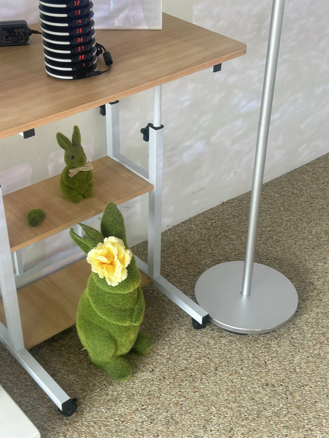 ️ 🌳☕️푸른 숲 속 힐링 아지트, 폴라그란데🍀