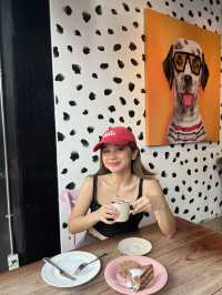 Dalmatian 달마시안 Siam Square Block I