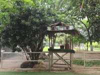 ตามธรรมชาติ Cafe' and Farm