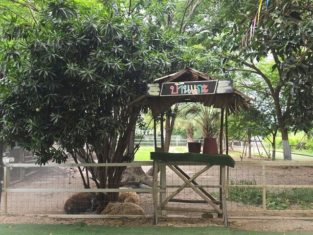 ตามธรรมชาติ Cafe' and Farm