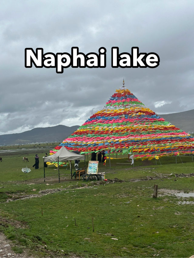 Shangrila Trip| 🌊 Napahai Lake – Shangri-La’s Seasonal Wonderland