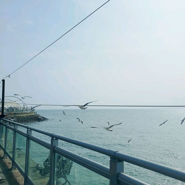 바다가 보이는 놀이공원 월미도🎡