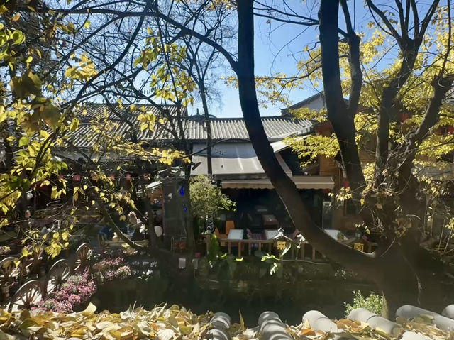 📖 在古城重讀生活｜麗江古城最值得停下來的書香角落：三聯韜奮書店