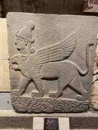 【アンカラ】アナトリア文明博物館で大興奮🇹🇷