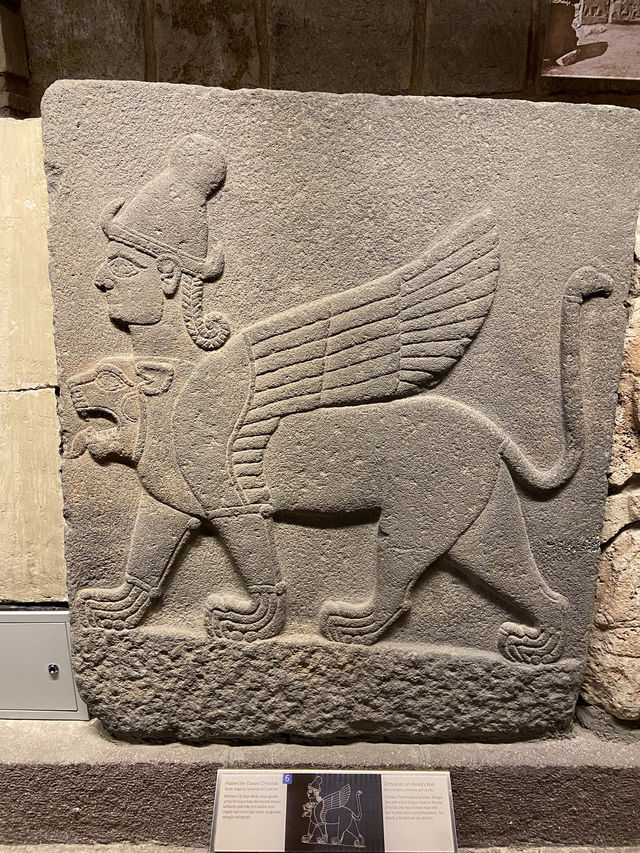 【アンカラ】アナトリア文明博物館で大興奮🇹🇷