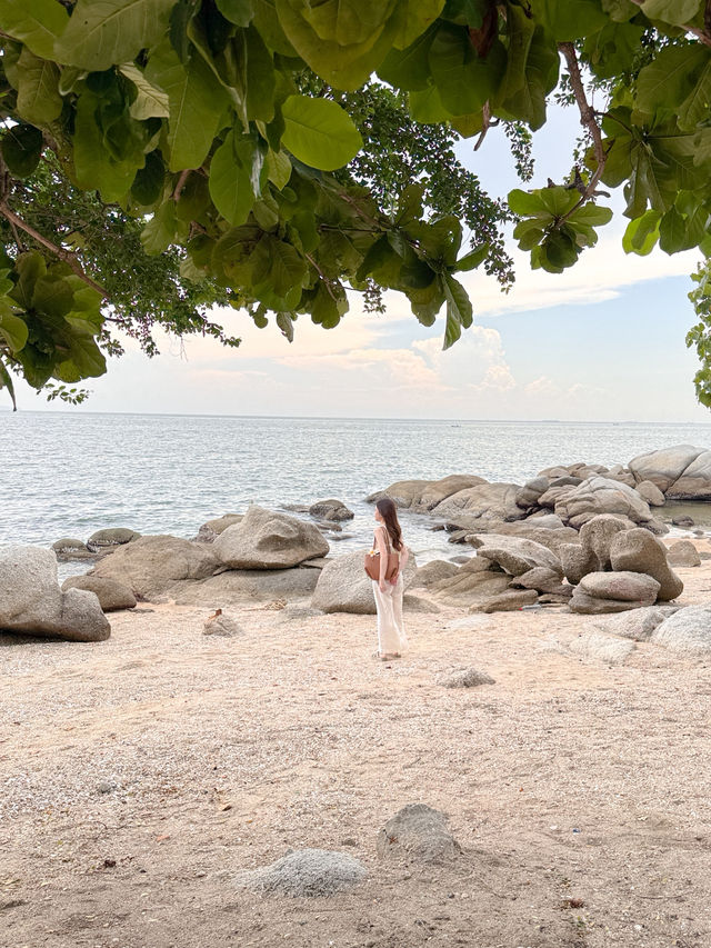 คาเฟ่พัทยา 2025 🏖️✨