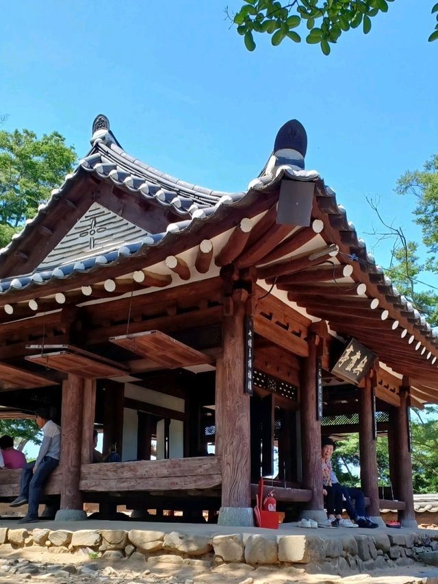 연못 위 전통미, 함안 무진정에서의 봄 데이트 🌸