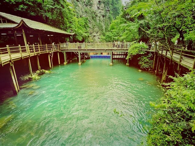 Not Just the Glass Bridge – This Is the Real Beauty of Zhangjiajie
