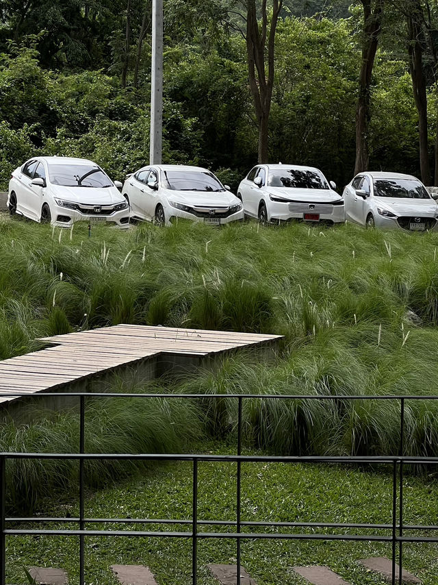 คาเฟ่ที่กำลังมาแรงที่เขาใหญ่ ที่ต้องแวะ