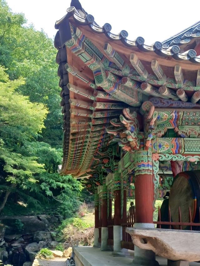 주말이 더욱 빛나는 나들이, 고성 옥천사🌿