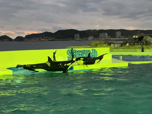 【千葉】鴨川シーワールド