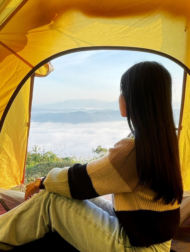 หมอกหนาเท่าหัวใจ… ดอยเสมอดาว น่าน ✨🌫️