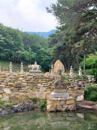 산사에서 시작하는 밀양 여행 🍃