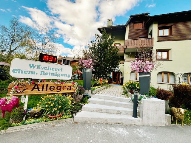 Summer Stroll Around Lake St. Moritz – Alpine Calm at Its Finest