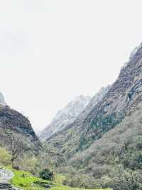 Annapurna Calling