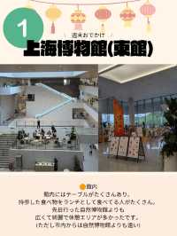 🇨🇳上海の博物館巡りはおすすめ！！