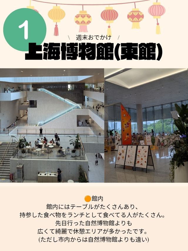 🇨🇳上海の博物館巡りはおすすめ！！