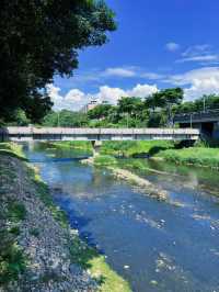 🚴‍♀️ 桃林鐵馬道：藏身虎頭山旁的森林單車路，一場綠意與時光的輕旅行