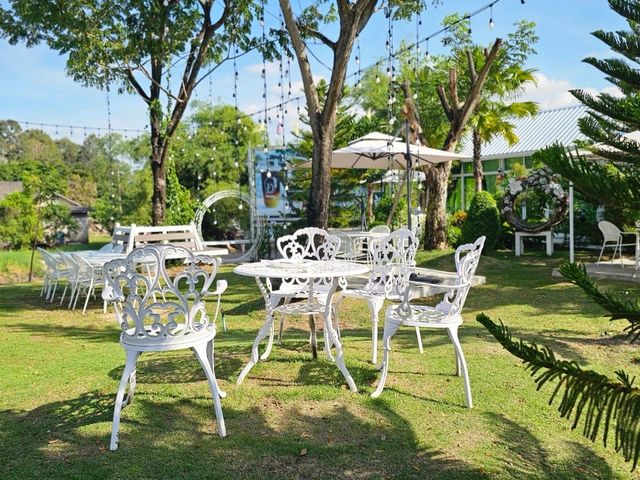 Dome cafe