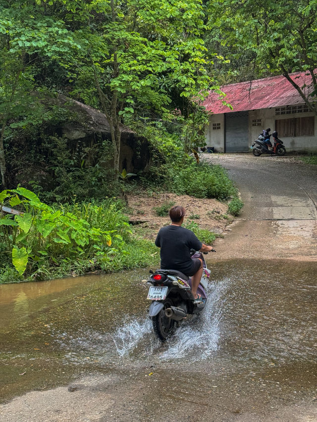 ฤดูฝนที่บ้านป่าเหมี้ยง จ.ลำปาง 🏡⛰️🌧️🌳