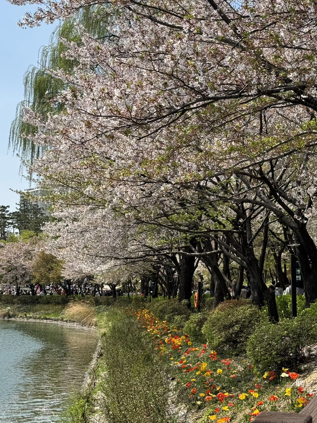 ชมวิวพ็อตกตที่มุมทะเลสาบ seokchon lake😍