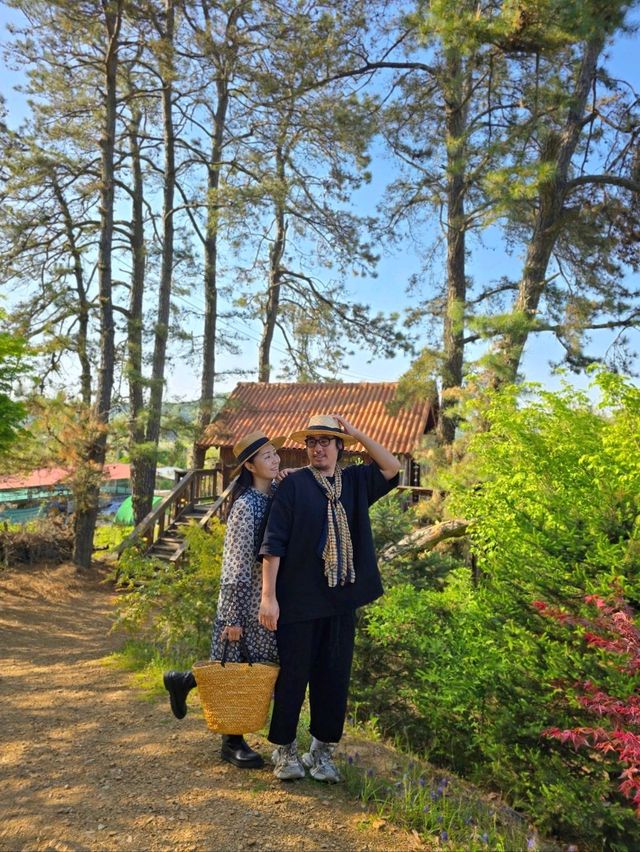 6월에 가면 더 예쁠 괴산 정원카페🌳