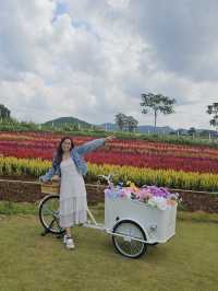 ✨Blossom Bloom Bliss – A Fairytale Café in Khao Yai