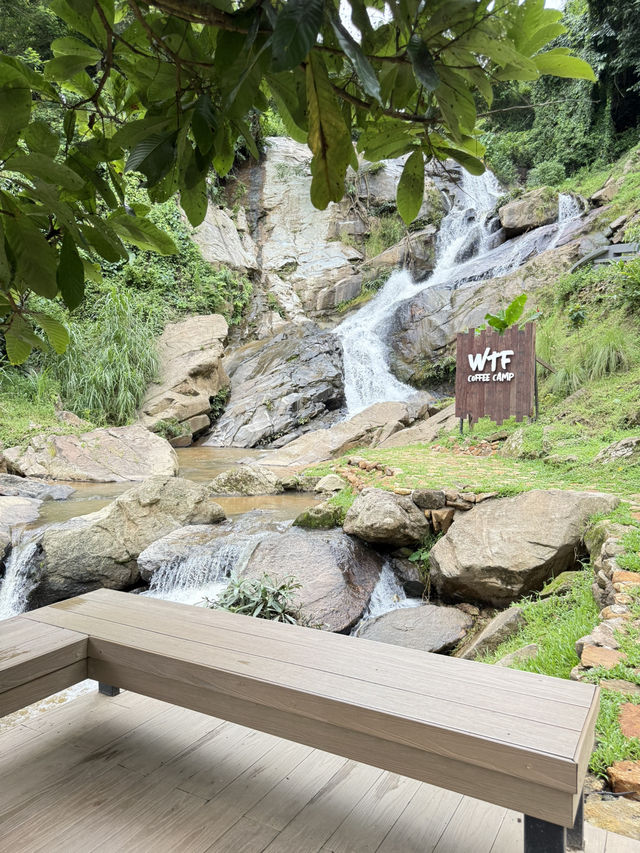 WTF coffee camp 🏕️ 